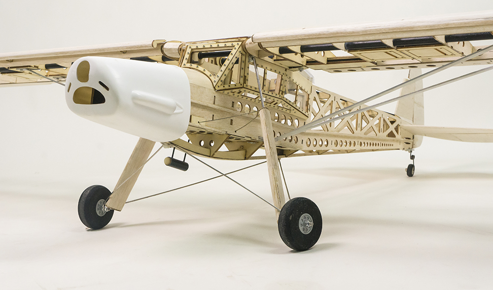 Dancing Wings Hobby S21 Fiesel – Rc Hobby Experts Bewertung und Preis