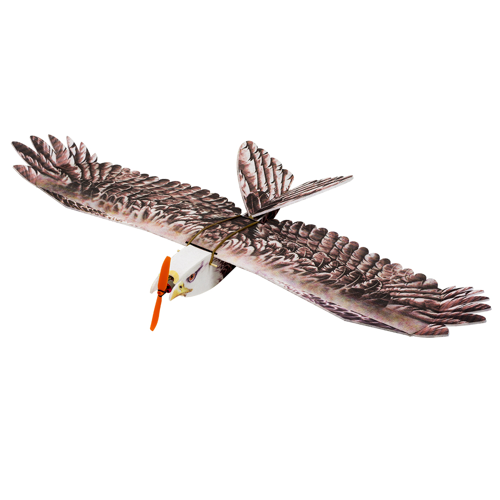 DW Hobby Eagle II EPP Airplane – Rc Hobby Experts Bewertung und Preis