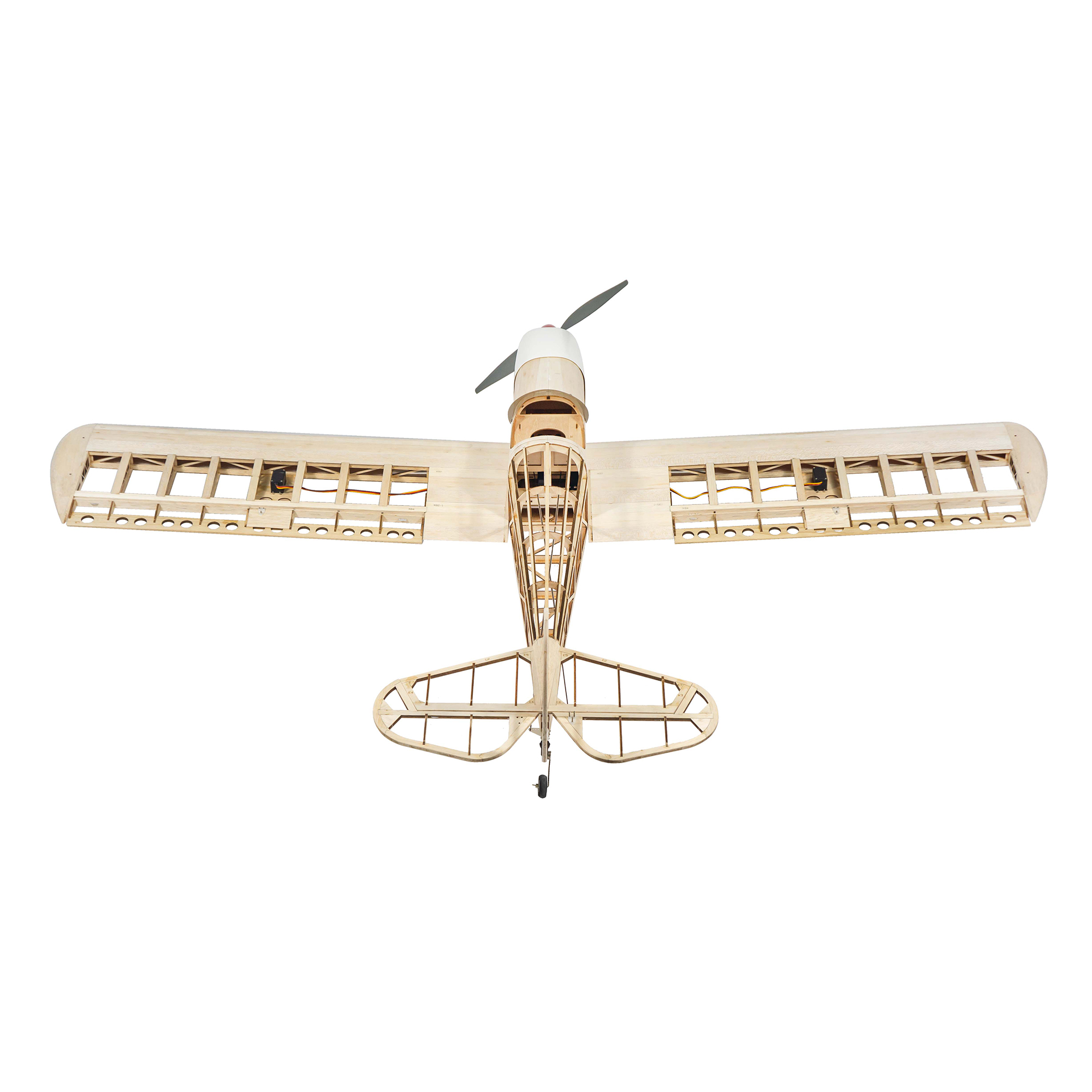 Dancing Wings Hobby 1.6M (63in – Rc Hobby Experts Bewertung und Preis