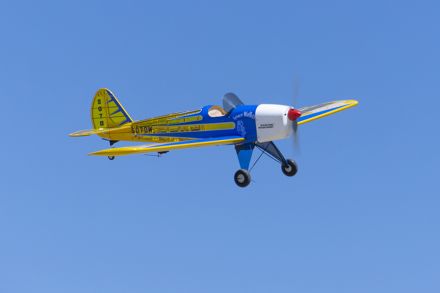 Dancing Wings Hobby 1.6M (63in – Rc Hobby Experts Bewertung und Preis